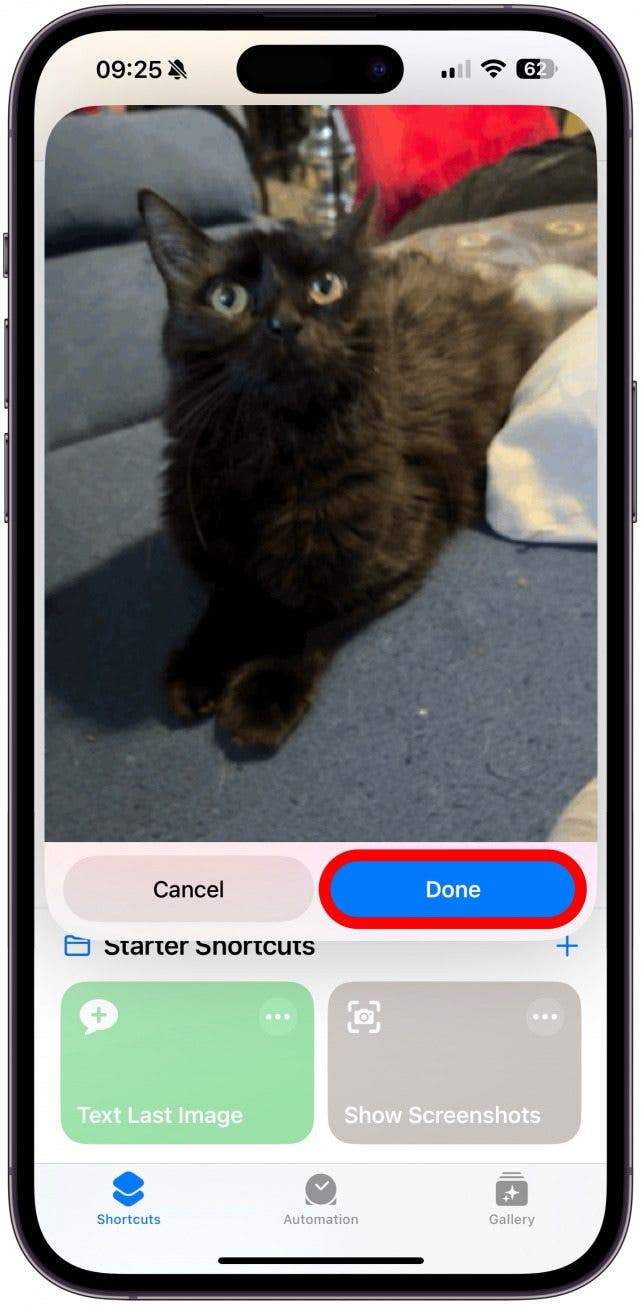 After you tap the Live Photo it will play it in a small window over the Shortcuts app. If it's the right one, just tap the Done button.