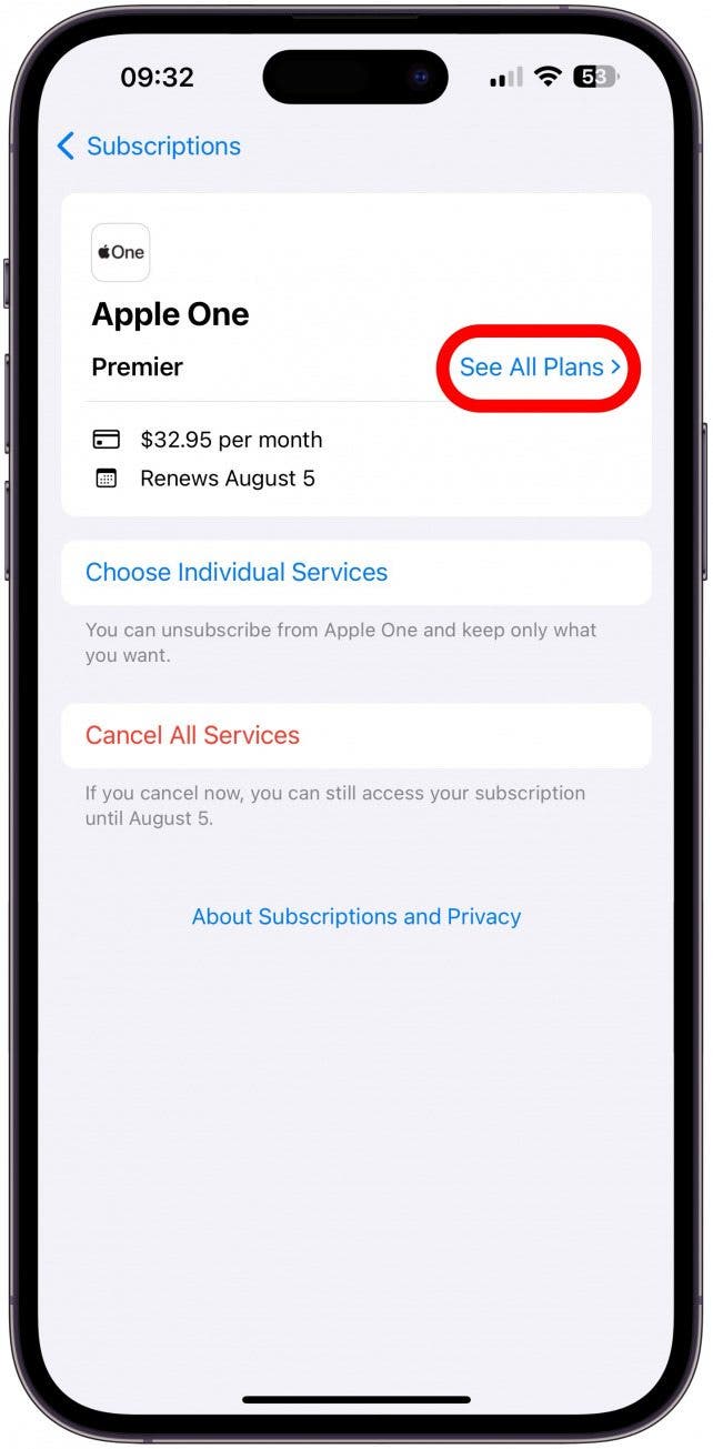 If you already have Apple One, you'll have to tap See All Plans. If not, you'll be taken to the next step.