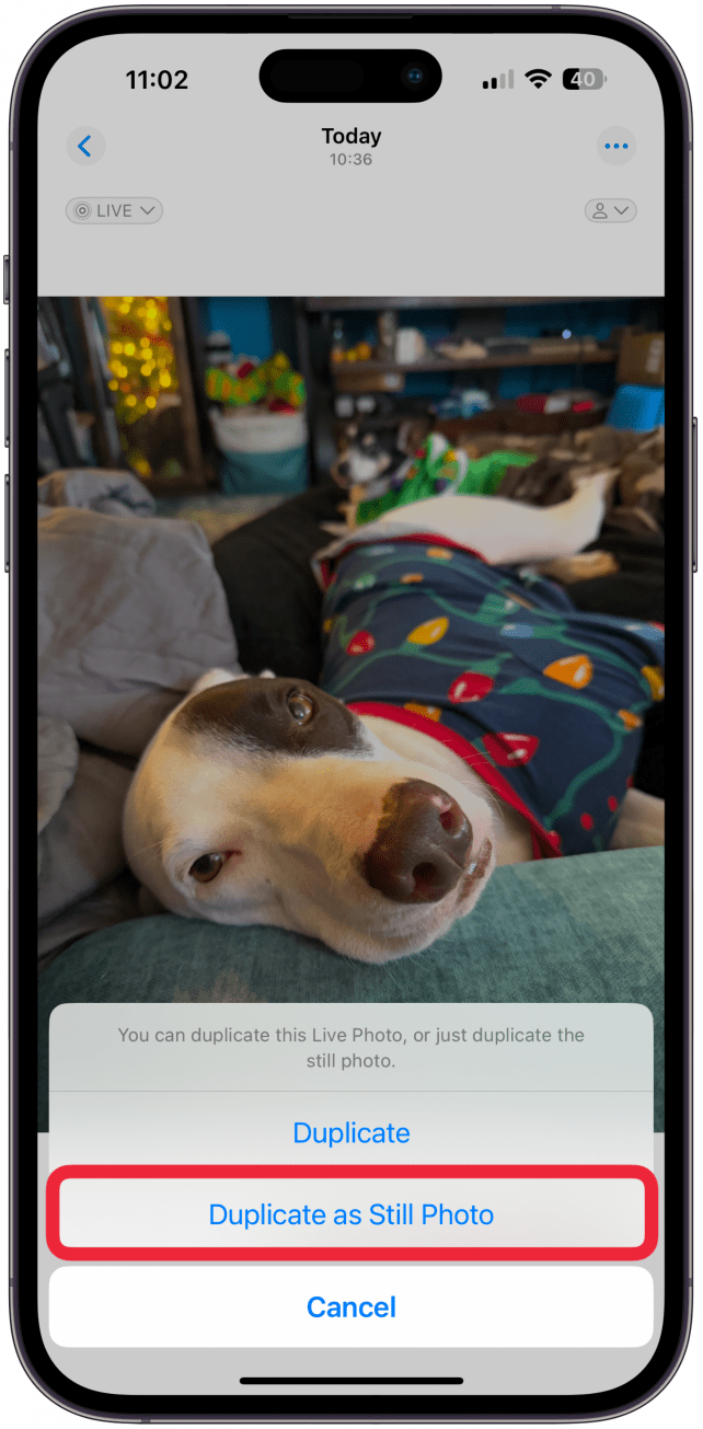 Tap Duplicate as Still Photo.