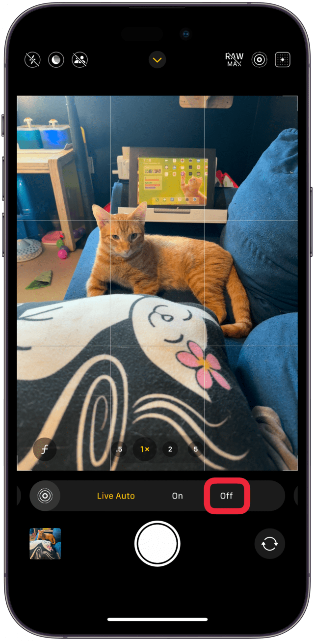 Tap Off to disable Live Photo.