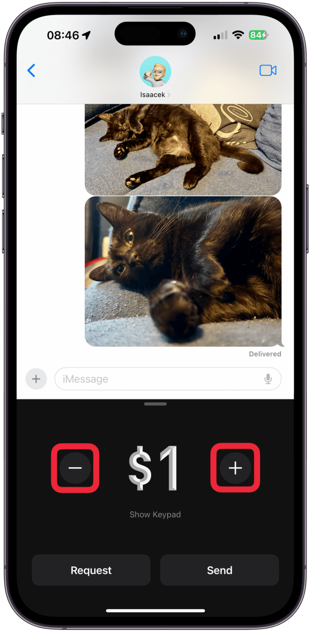 If the person can receive Apple Cash, you'll be able to Pay or Request. Tap the plus or minus icons to adjust the amount. To use a numeric keypad instead, tap on the dollar amount box.