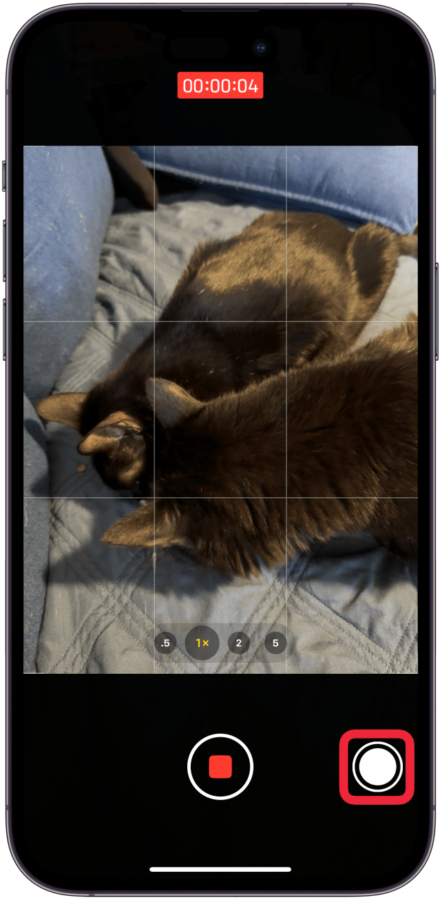 Take Photos While Recording Videos with the Smaller Shutter Button