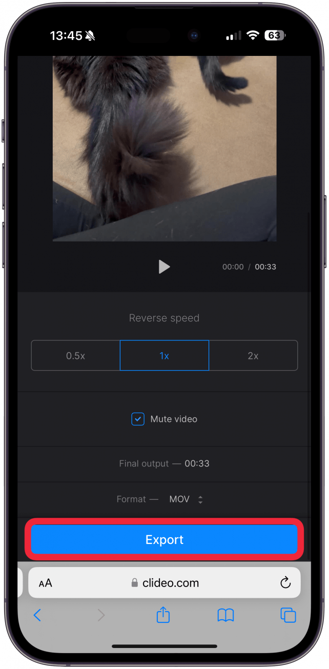 Here you can select your preferred reverse speed, choose to Mute the video if you wish, then tap Export.