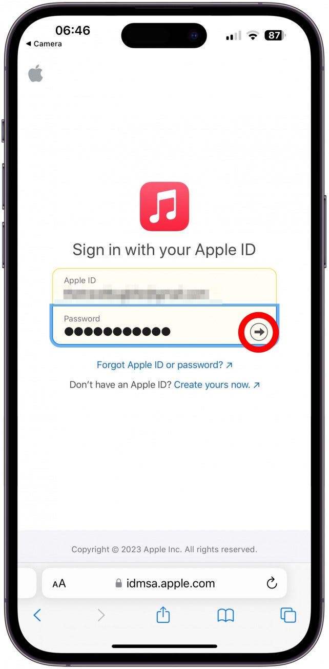 Sign in with your Apple ID and password.