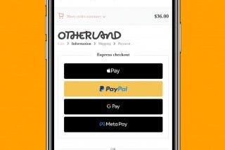 Image for Use Apple Pay on iPhone for In-Store & Online Payments