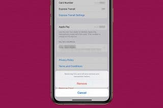 Image for Can You Delete Apple Pay Transactions? Here's What You Can Do
