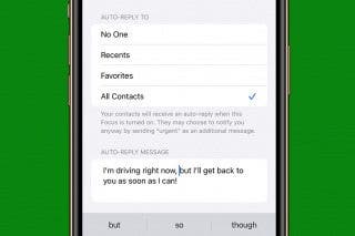 Image for How to Use Auto Reply for Texts on iPhone