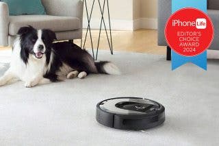 Image for Buyer's Guide 2024: Best Pet Gear