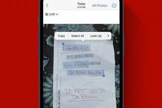 Image for How to Copy Text from a Picture on iPhone Quickly