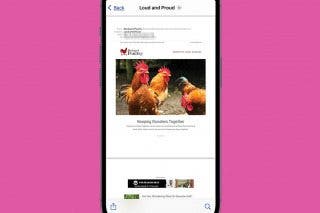 Image for How to Save an Email as a PDF on Your iPhone & iPad
