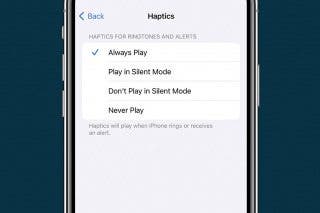 Image for How to Fix Haptics on iPhone