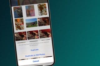 Image for How to Change Multiple Live Photos to Still on iPhone & iPad