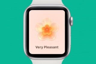 Image for How to Log Your State of Mind on Apple Watch