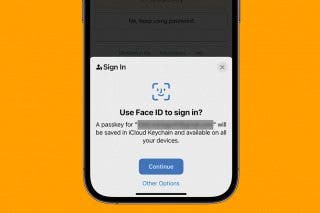 Image for How Do Passkeys Work & How to Use Them on iPhone
