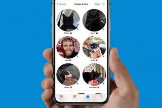 Image for How to Tag Cats & Dogs in the iPhone Photos App