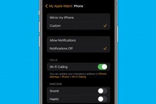 Image for How to Turn Off Apple Watch Phone Call Notifications