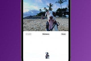 Image for How to Take the Best Live Custom Photo Stickers