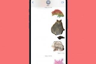 Image for How to Use Custom Photo Stickers on iPhone