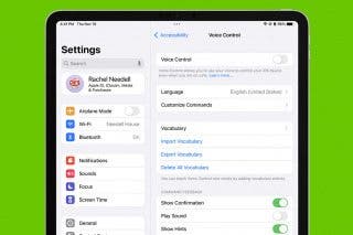 Image for How to Turn Off Voice Control on iPad