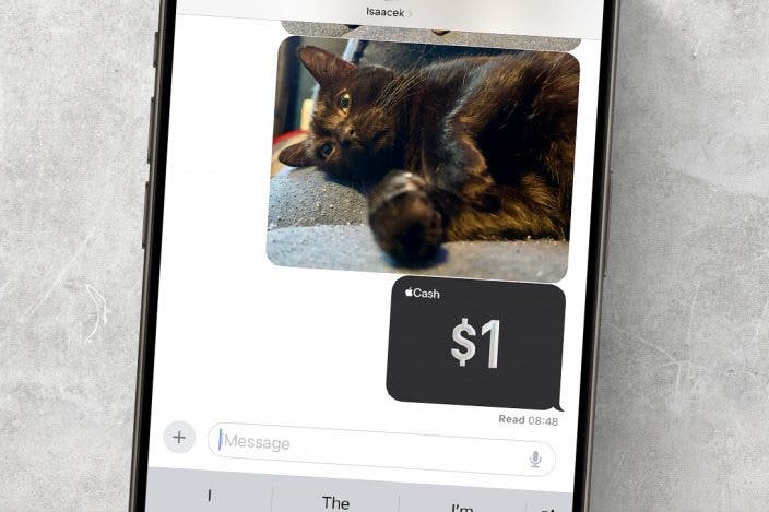 Apple Cash: How to Send Money through Apple Pay in Messages