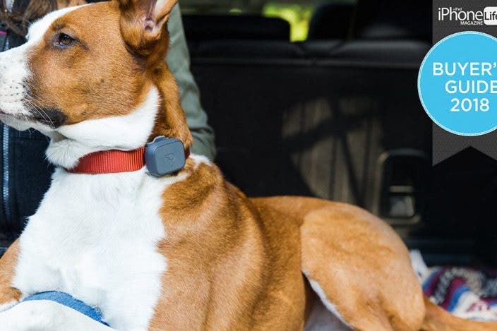 Smart Pet Tech: Take Care of Your Furry Friends with These Great Finds