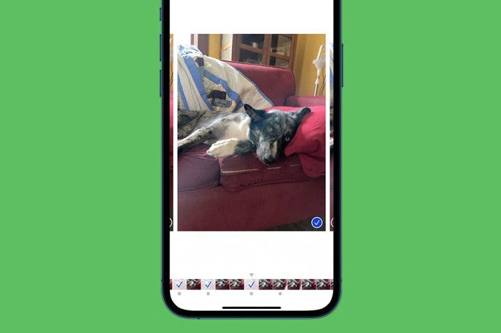 How to Take, View, & Save Burst Photos on iPhone