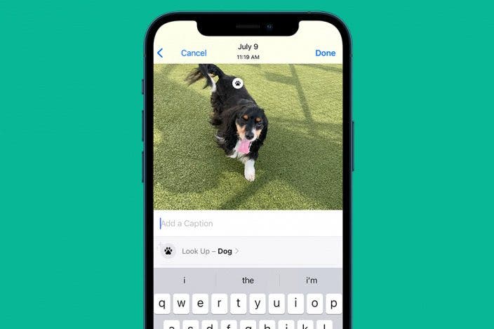 How to Add a Caption to a Photo on iPhone