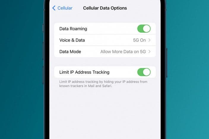 What Is Data Roaming on iPhone & Should It Be On or Off?