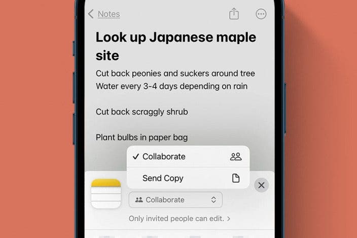 How to Make a Shared Note & Collaborate on an iPhone