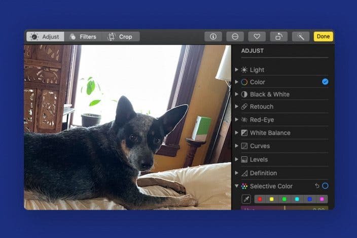 Photo Editing: How to Copy & Paste Edits on Mac