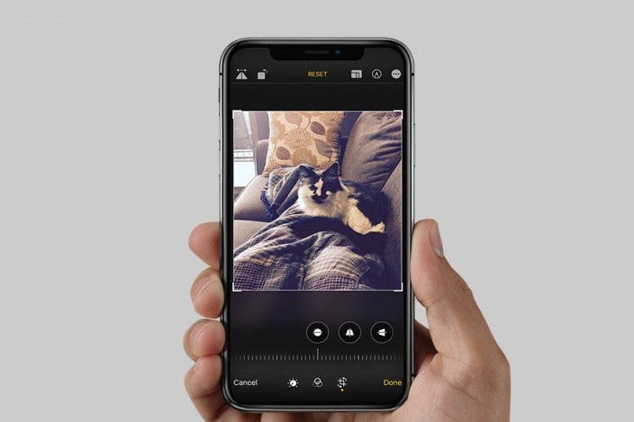 How to Crop a Picture on iPhone & iPad