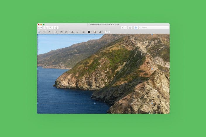 How to Crop Photos on Mac (Easiest Way!)