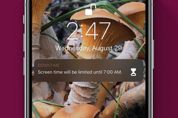 How to Set Downtime in Screen Time Settings on Your iPhone & iPad