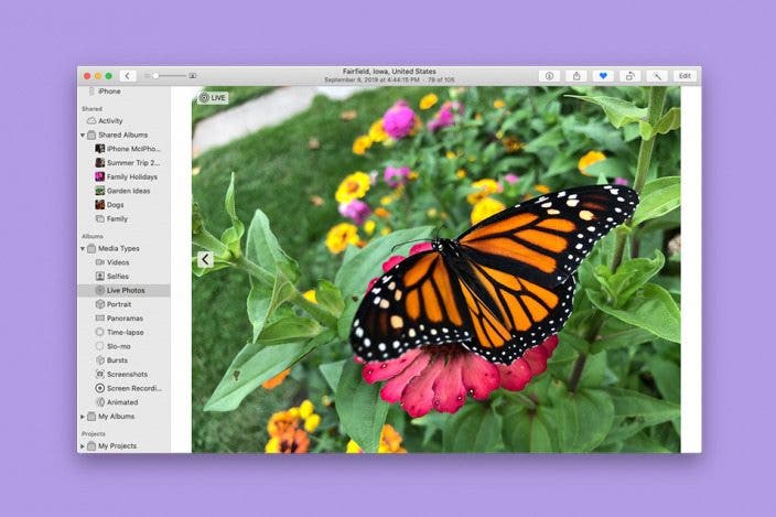 How to Duplicate a Photo or Video on Mac