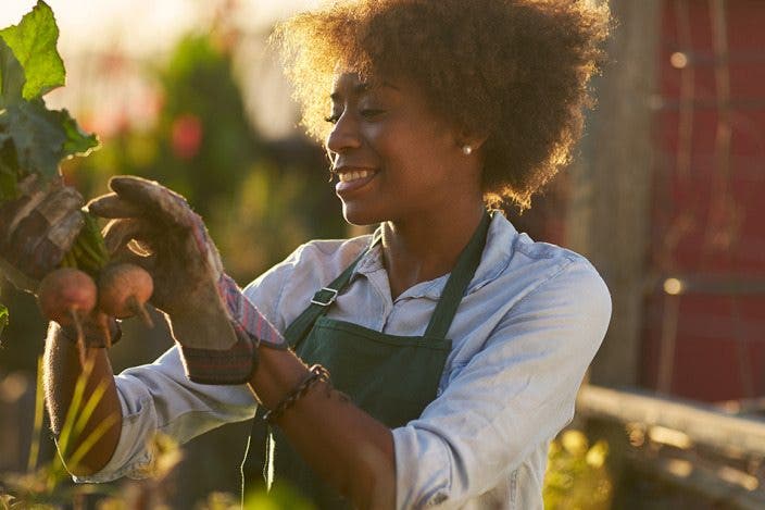 Garden Planner Apps: Plant & Harvest Your Best Produce Yet