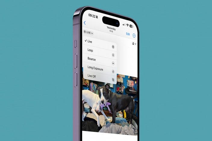 How to Make a GIF or Video from a Live Photo on iPhone