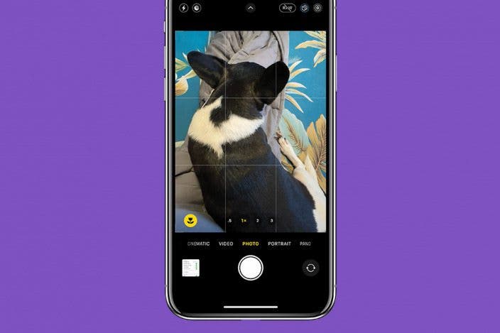 How to Add a Grid on Your iPhone Camera for Better Photos