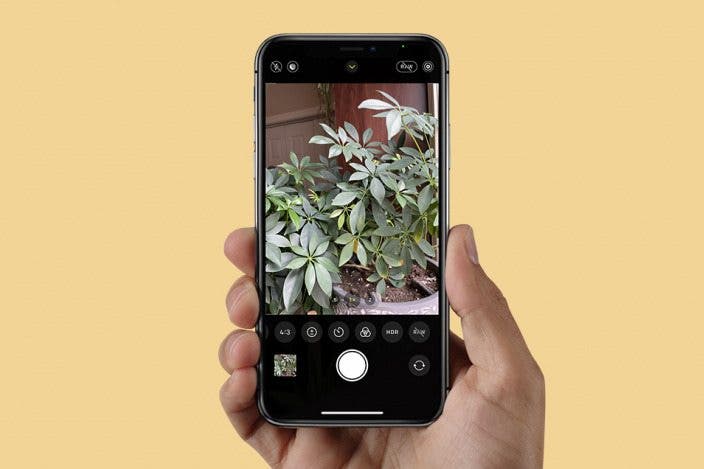 What Is HDR & How to Use It on Your iPhone Camera