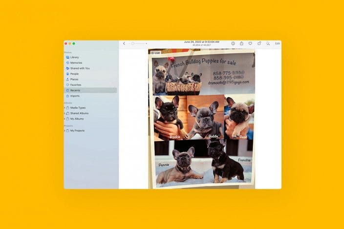 How to Use Live Text & Visual Look Up on Mac