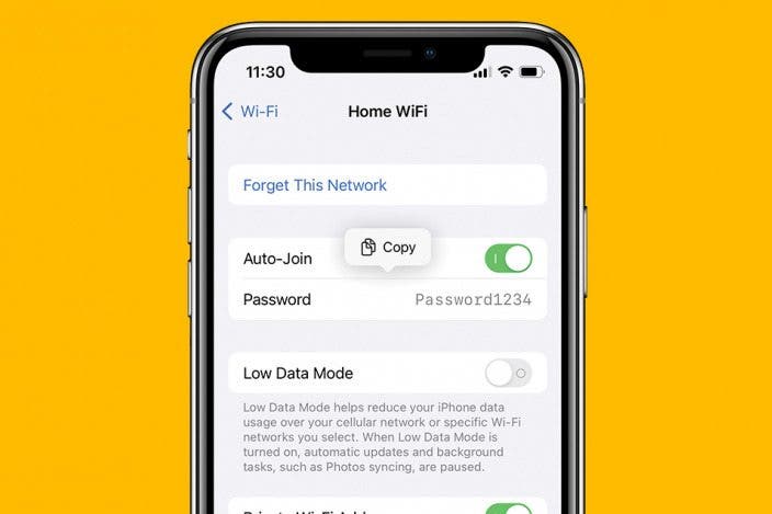 How to See Wi-Fi Password on iPhone