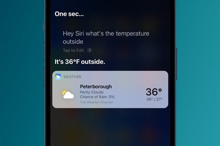 Can You See Siri Search History on iPhone?