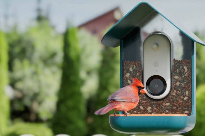 Smart Bird Feeder Tracks Feathery Visitors