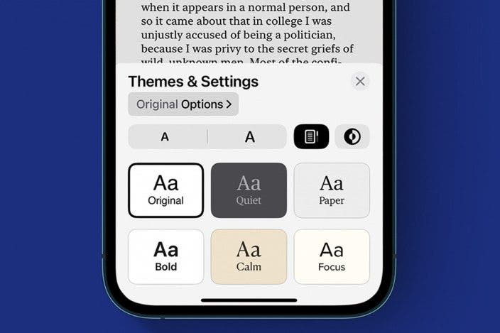 How to Change Themes in the Apple Books App on iPhone