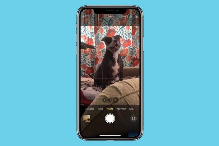 Optical Zoom vs. Digital Zoom: iPhone Explained