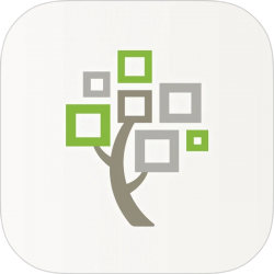 best photo sharing apps for ancestry