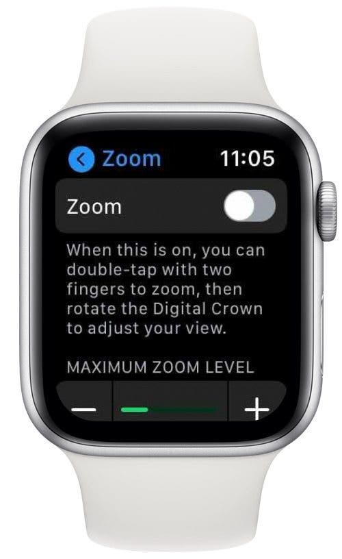 Zoom 5.15.6 for ipod instal