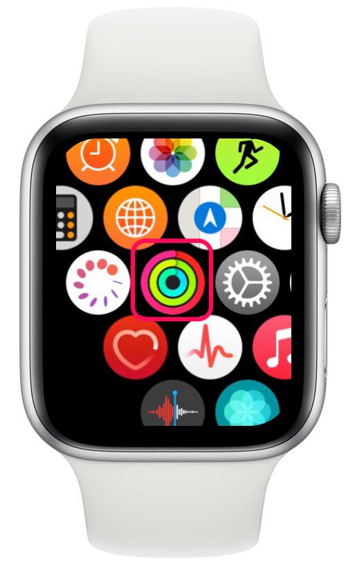 best calorie tracker apple watch