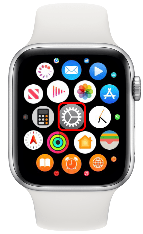 Open the Settings app on your Apple Watch.