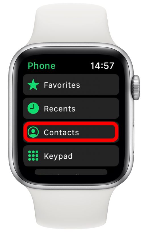 Can you facetime with apple online watch