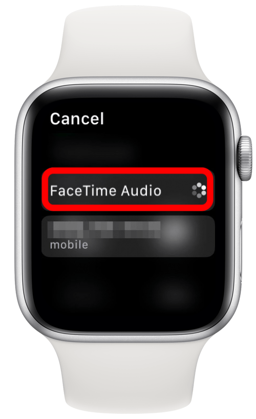 Facetime from apple watch hot sale